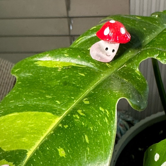 🍃30 pack of PetalPals plant Magnets🍃 - Picture 6 of 12